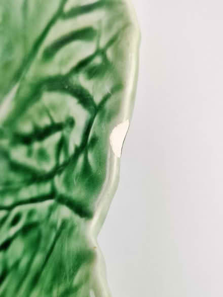 Photo of free 11" Green Lettuce Leaf Bowl (Victory Heights, North Seattle) #2