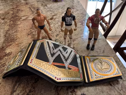 Photo of free WWE wrestler figures & belt (Erin Mills&QEW) #1