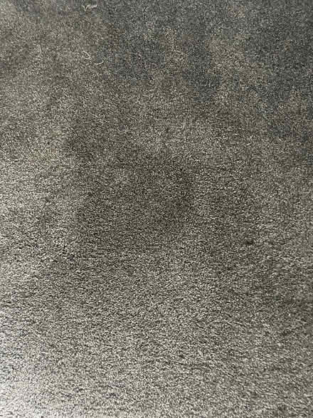 Photo of free New grey carpet (BT8) #1