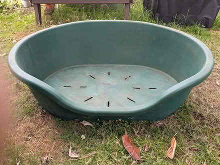 Photo of free Large dog bed (Chapmanslade BA13) #1