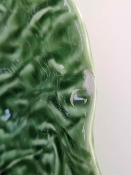 Photo of free 12" Green Cabbage Leaf Bowl (Victory Heights, North Seattle) #4
