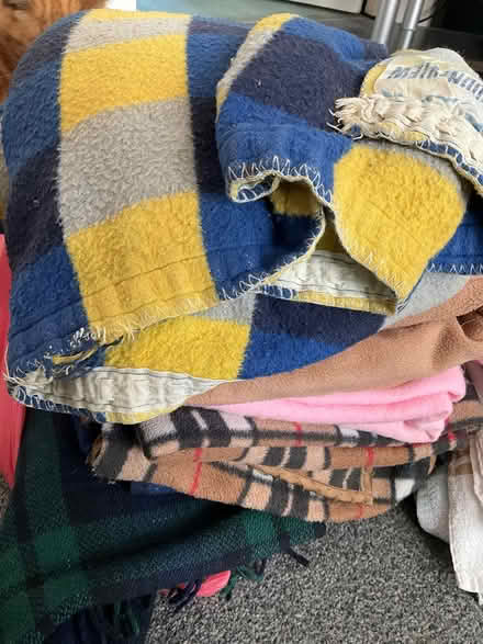 Photo of free Bundle of old blankets and towels (Bohemia TN37) #3