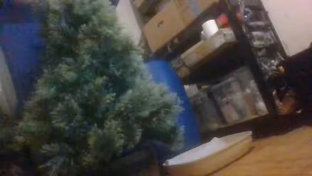 Photo of free 4 feet christmas tree (BA2) #1