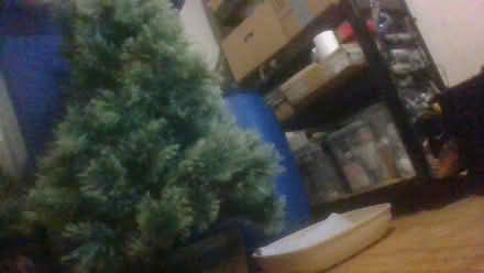 Photo of free 4 feet christmas tree (BA2) #1
