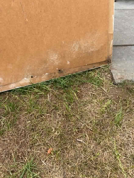Photo of free Large poster frame (Hitchin Herts) #3