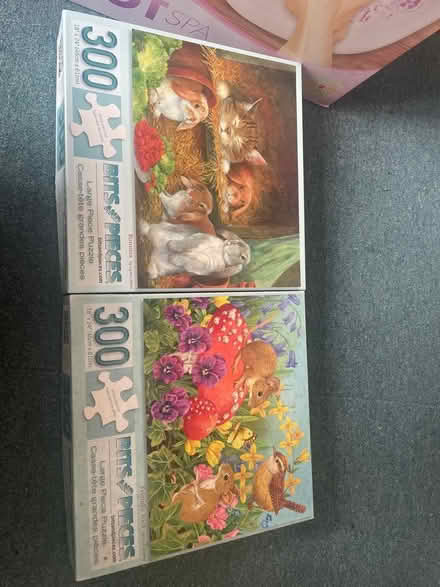 Photo of free Two cute puzzles (Blacklands TN34) #1