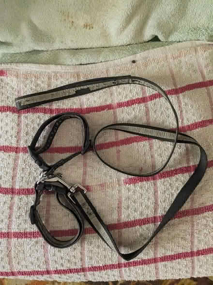 Photo of free Dog lead & harness (Wallasey, CH44) #2