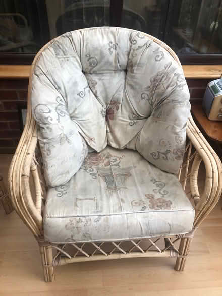 Photo of free Conservatory chairs (Lexden CO3) #2