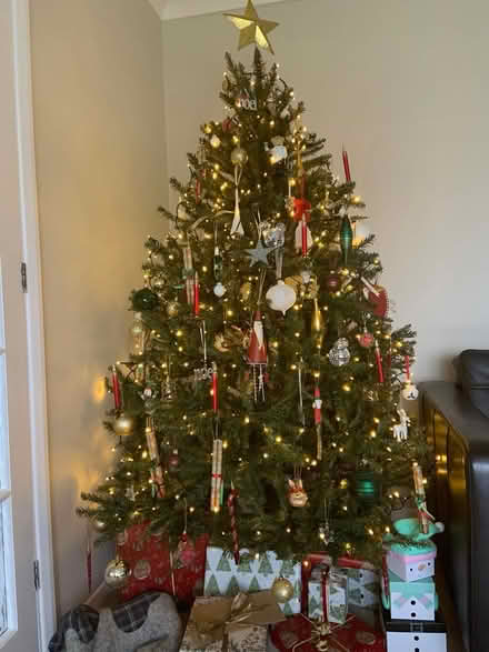 Photo of free Christmas Tree (Halesworth, Barons Close) #2