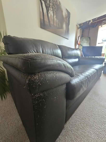 Photo of free Brown leather sofa- 3 seater (Epping CM16) #2