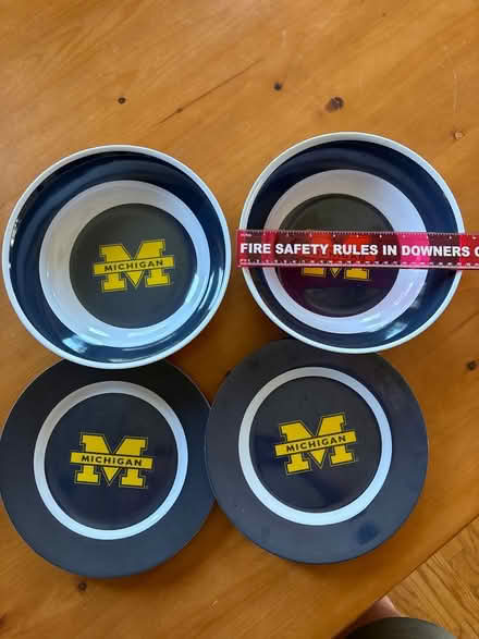 Photo of free plastic Michigan bowls and plates (Darien) #1