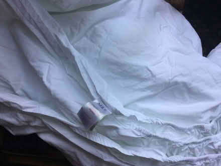 Photo of free 3x M&S 100% cotton Single fitted sheets (Summertown OX2) #1