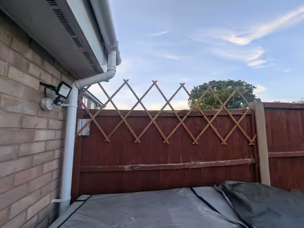Photo of Fake trellis plant (Podsmead GL1) #2