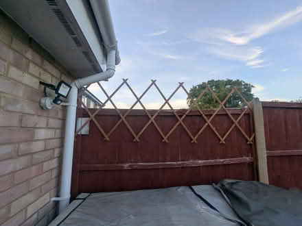 Photo of Fake trellis plant (Podsmead GL1) #2