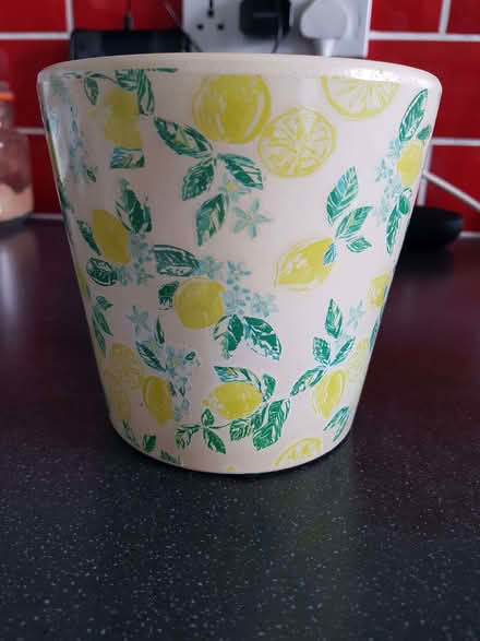 Photo of free Plant pot. 5 inches or 13cm tall. 5 inches at widest. (Northop Hall CH7) #1