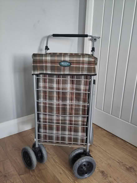 Photo of free Shopping trolley (Bexhill old town, TN40) #1