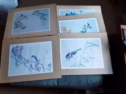 Photo of free 5 x Framed Pictures of Birds (Old Walcot SN3) #1