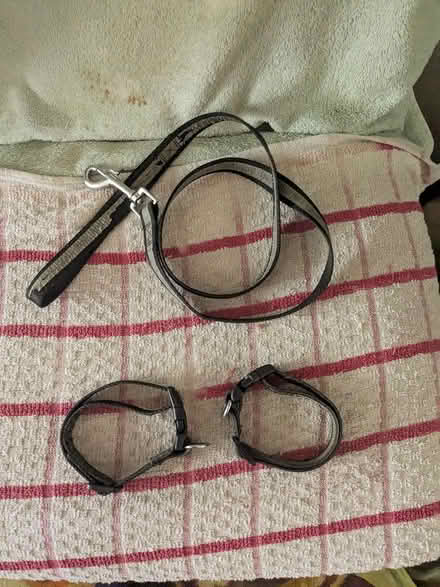 Photo of free Dog lead & harness (Wallasey, CH44) #1