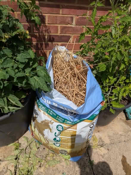 Photo of free Straw (Kingston Bagpuize OX13) #1