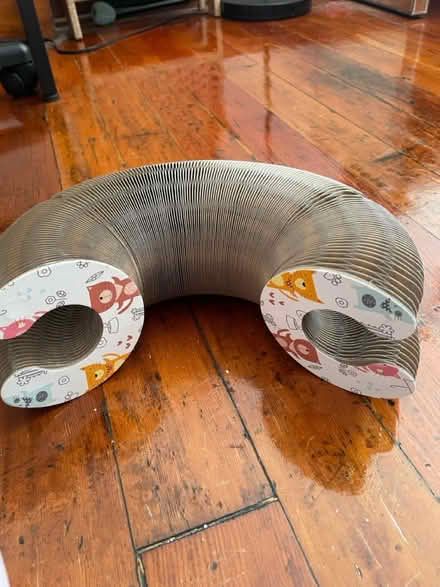 Photo of free Cat toy (dtla) #1