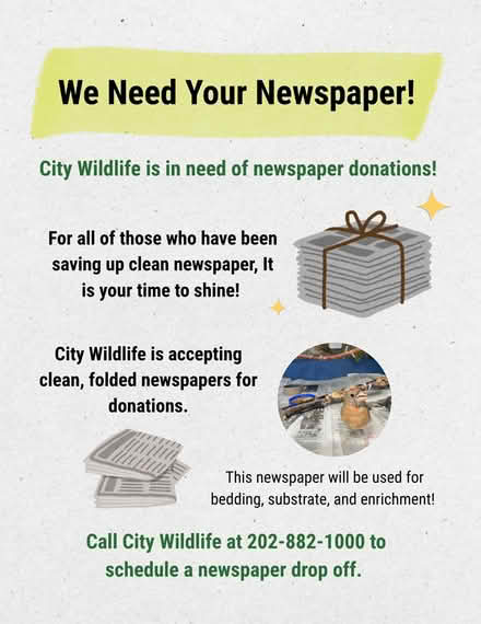 Photo of Clean Newspapers (Takoma, DC) #1