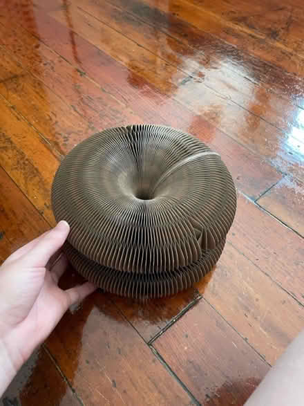 Photo of free Cat toy (dtla) #4