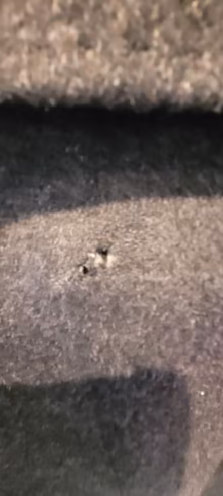 Photo of free Mens wool/cashmere coat (Horsforth LS18) #3