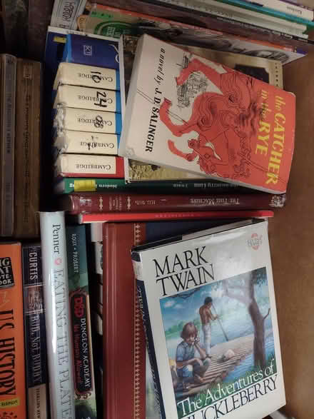 Photo of free 2 Boxes of Kids/Teens Books (Near TMH) #1
