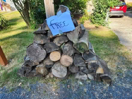 Photo of free firewood (Lake City Way) #1