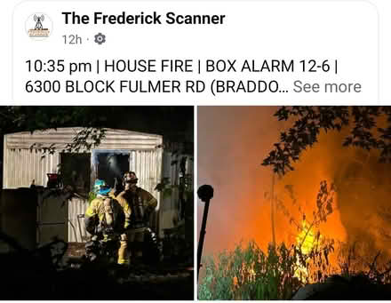 Photo of Clothes and dog bed (Frederick) #1