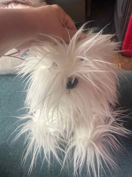 Photo of free Dulux plush dog (Blacklands TN34) #1