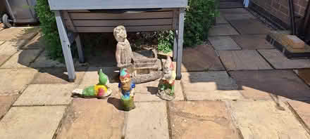 Photo of free new Gnome (Bramcote NG9) #1