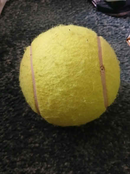 Photo of free Large Inflated Tennis Ball (Turnpike Lane N15) #1