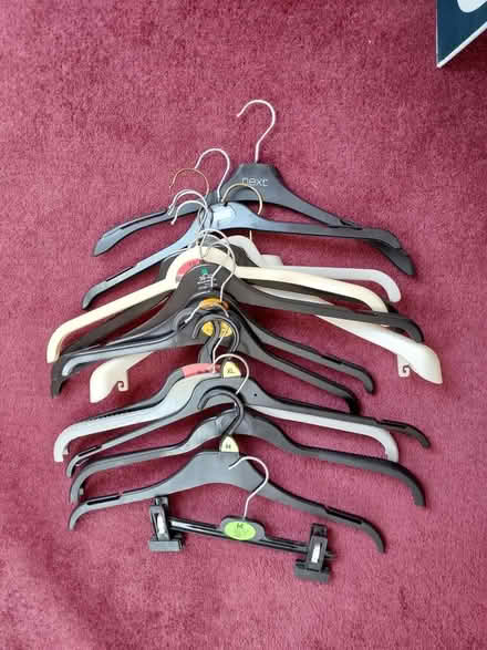 Photo of free Spate Clothes Hangers (Kilmacanogue, North Co Wicklow) #3
