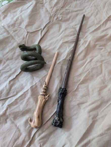 Photo of free Harry Potter wands (The Beaches) #1