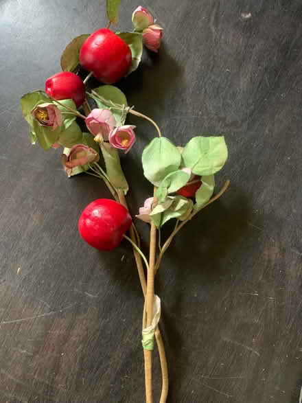 Photo of free Flowers and apples sprigs (Fairfield Park) #1
