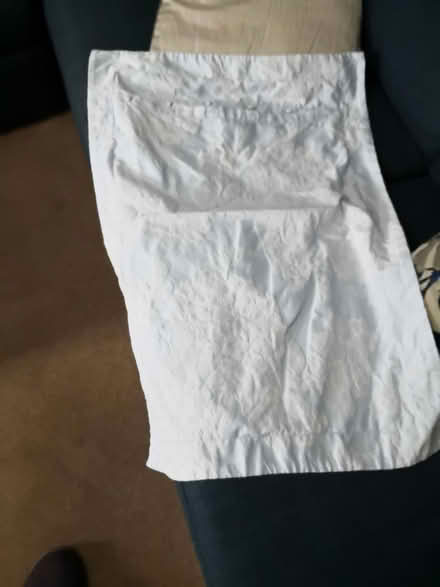 Photo of free Bedding (essington wv11) #1