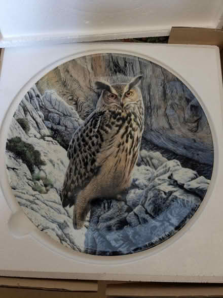 Photo of free Decorative owl plates (Caversham RG4) #4