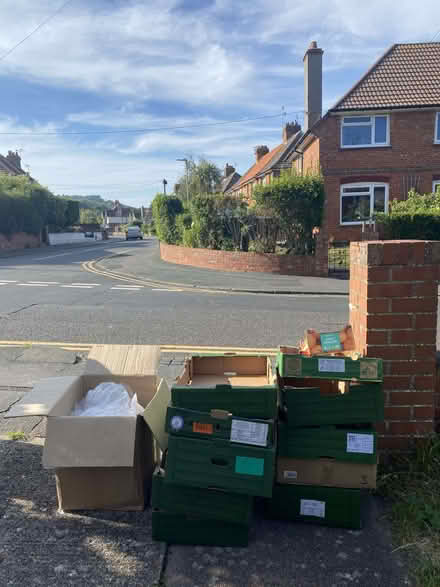 Photo of free Cardboard boxes & bubble wrap (Eastbourne BN20) #1