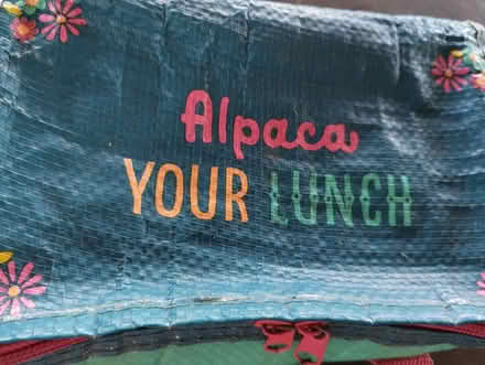 Photo of free Kids lunch bag (Kingscourt/Lightpill, Stroud) #3