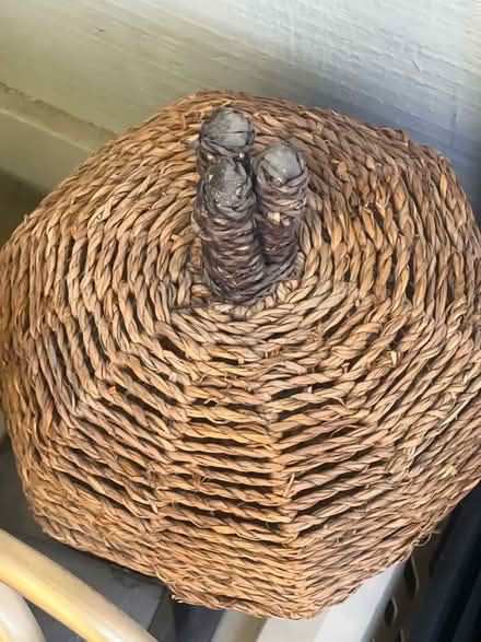 Photo of free Pumpkin decoration (San Jose) #1