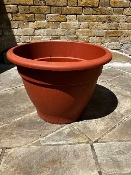 Photo of free Large plastic flower pot (Blackheath SE3) #1