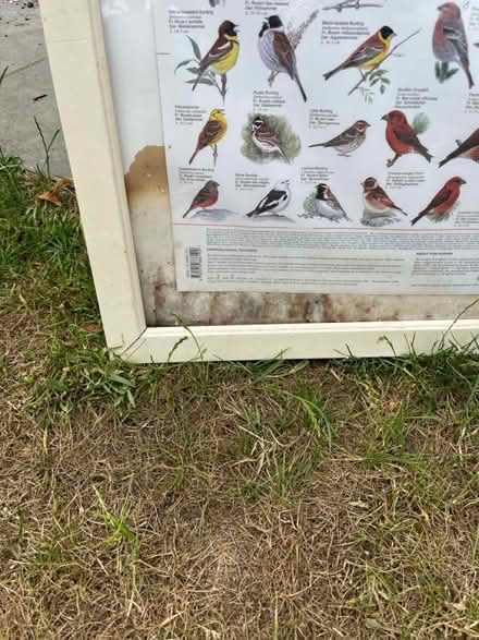 Photo of free Large poster frame (Hitchin Herts) #2