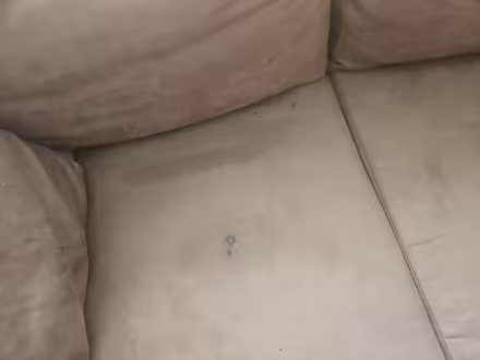 Photo of free Sofa Bed (Leamore, WS3) #3