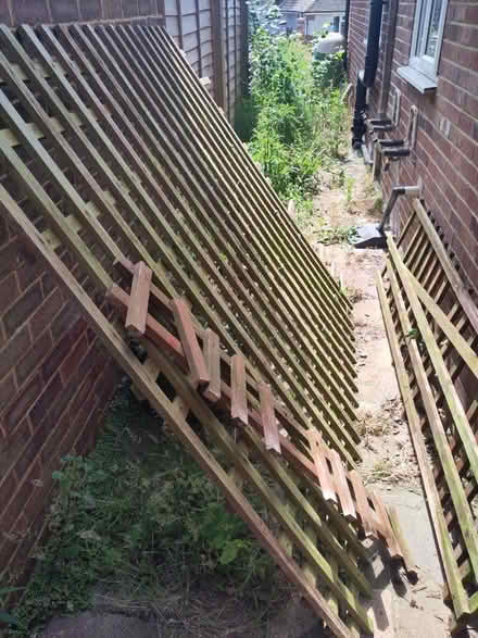 Photo of free Old garden trellis (Bexhill old town, TN40) #3