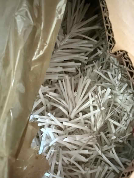 Photo of free Xmas tree (BD20 5PB) #2