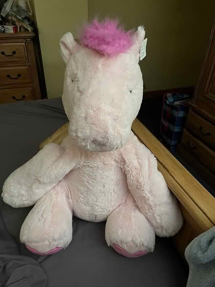 Photo of free Large cuddly toy (Ipswich IP2) #1