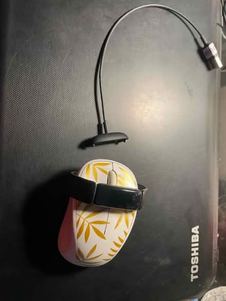 Photo of free Women’s FitBit with charger (South San Jose) #2