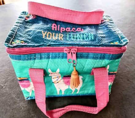 Photo of free Kids lunch bag (Kingscourt/Lightpill, Stroud) #1