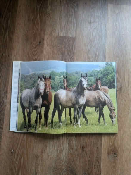 Photo of free Book on Polish horses (Malvern Link WR14) #1